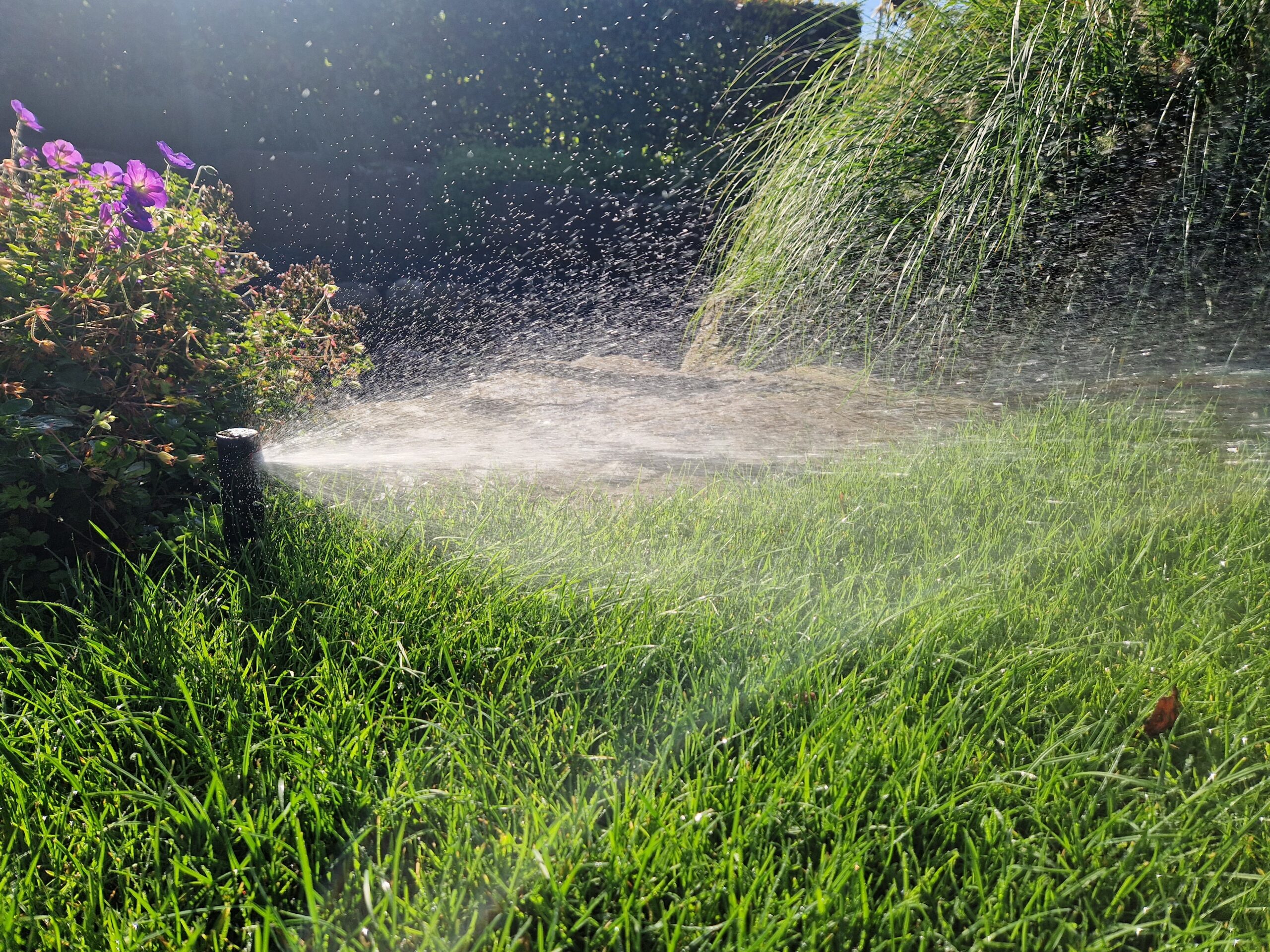 Gartenbewässerung mit Rasensprenger im grünen Garten und bunten Blüten Baustellenbesprechung unter Kollegen
