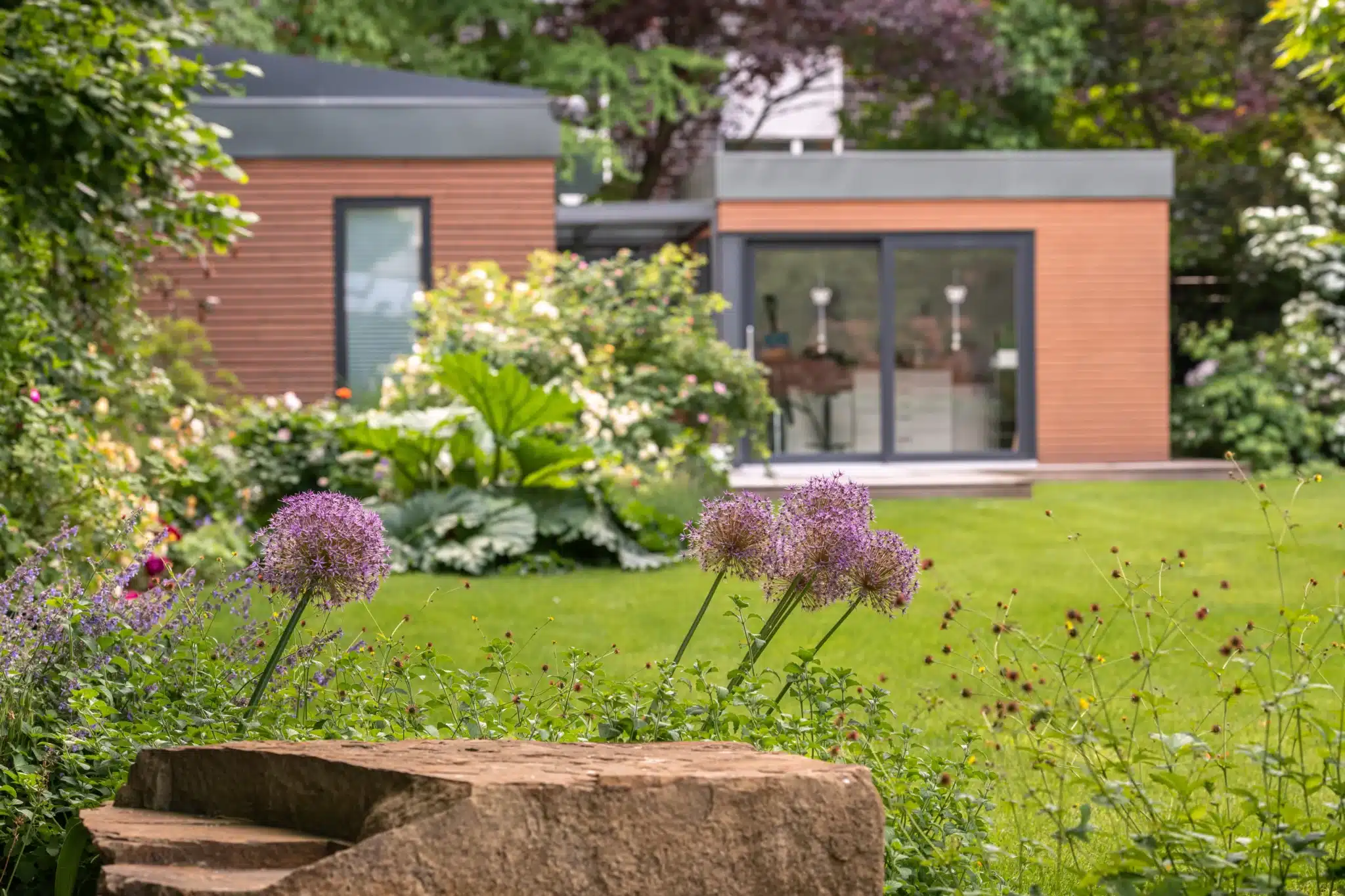 Outdoor Living mit Gartenhaus und blühenden Staudenbeeten Violetter Zierlauch und Natursteine vor einer Rasenfläche mit modernem holzverkleidetem Gartenhaus im Hintergrund.